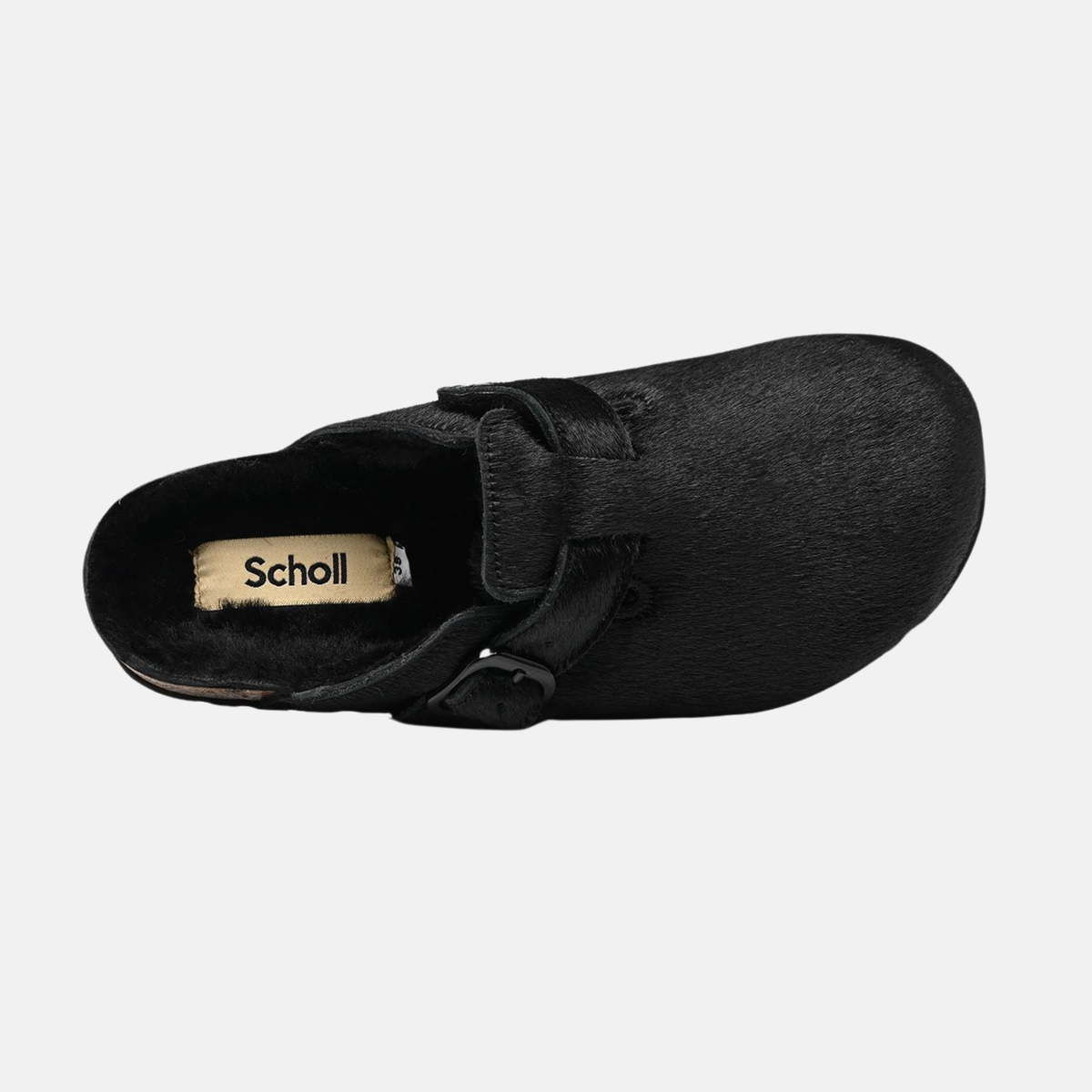 SCHOLL FAE PONEY