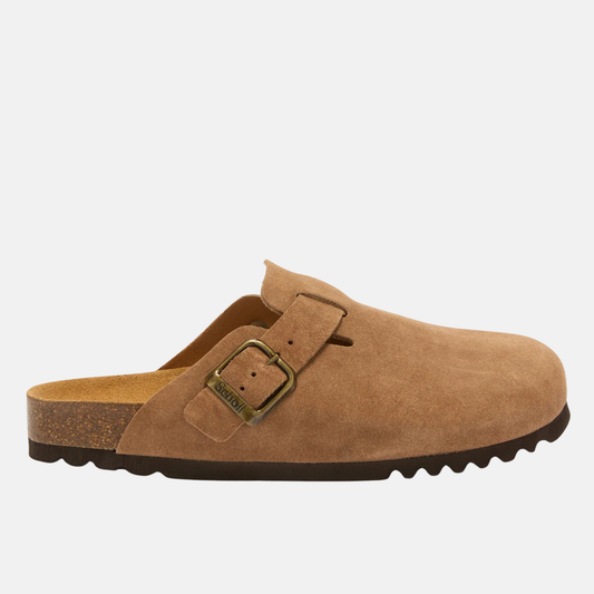 SCHOLL OLIVIER