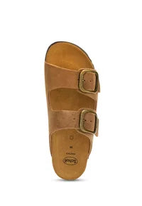 SCHOLL NOELLE
