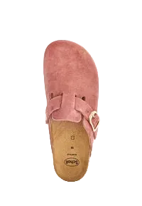 SCHOLL FAE
