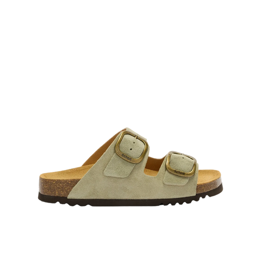 SCHOLL NOELLE