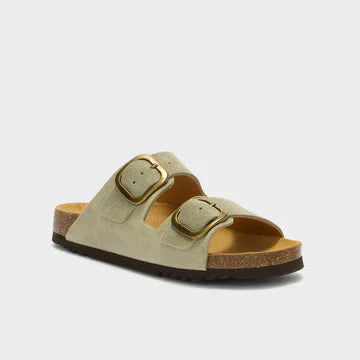 SCHOLL NOELLE