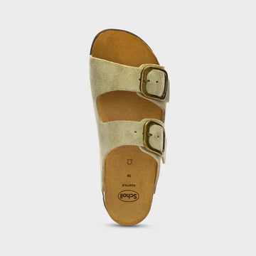 SCHOLL NOELLE