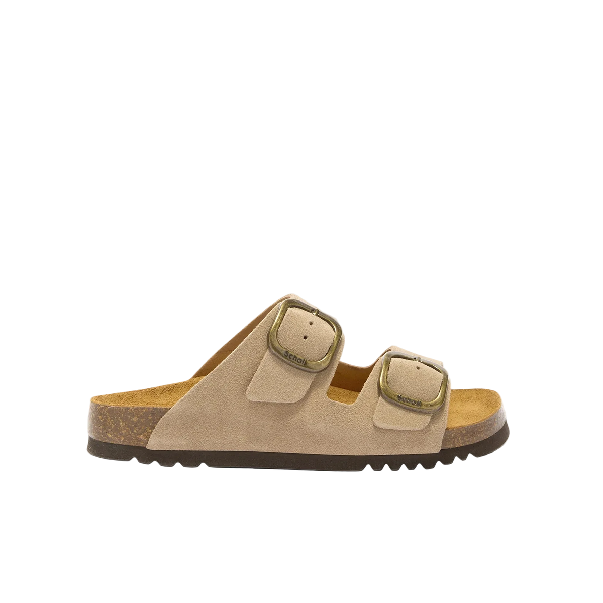 SCHOLL NOELLE