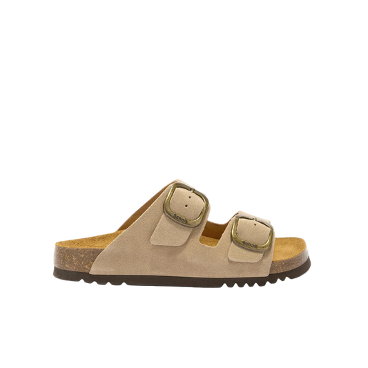SCHOLL NOELLE