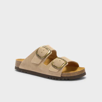 SCHOLL NOELLE