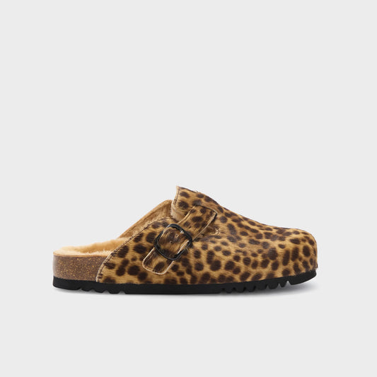 SCHOLL FAE NEW