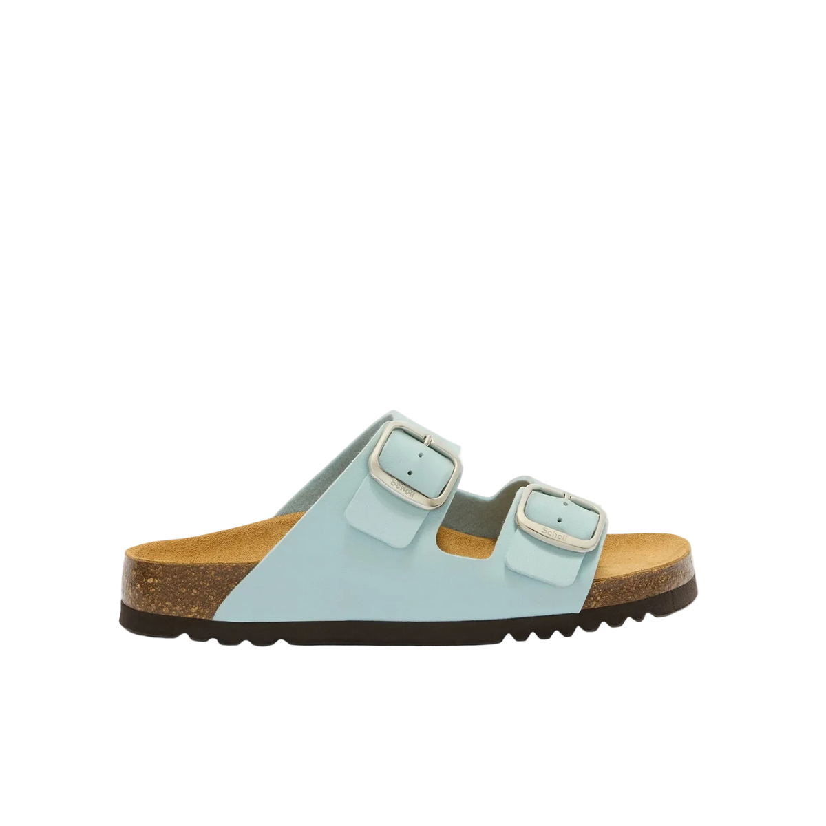 SCHOLL NOELLE
