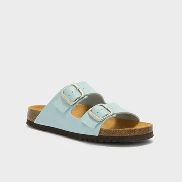 SCHOLL NOELLE
