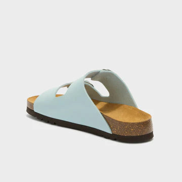 SCHOLL NOELLE