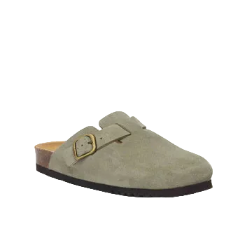 SCHOLL FAE