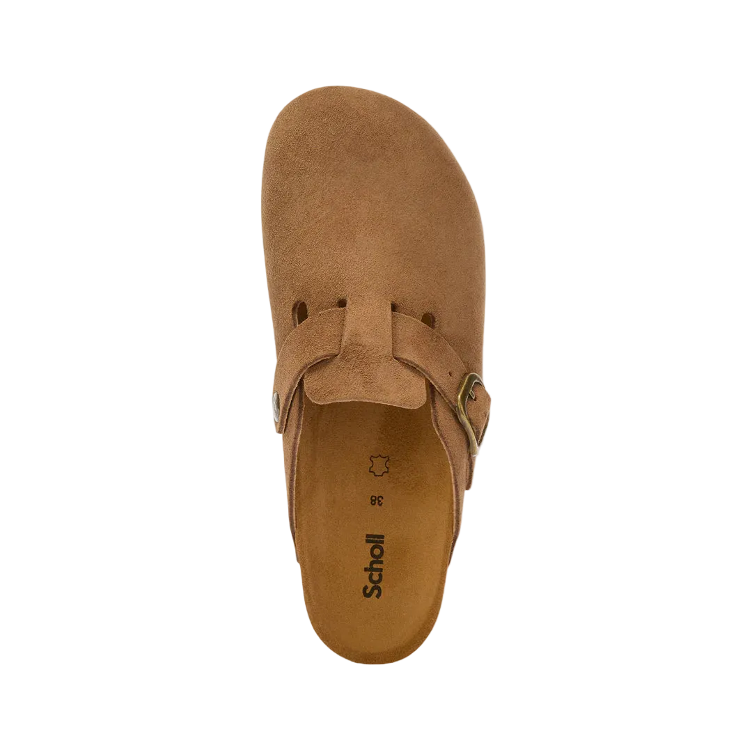 SCHOLL FAE