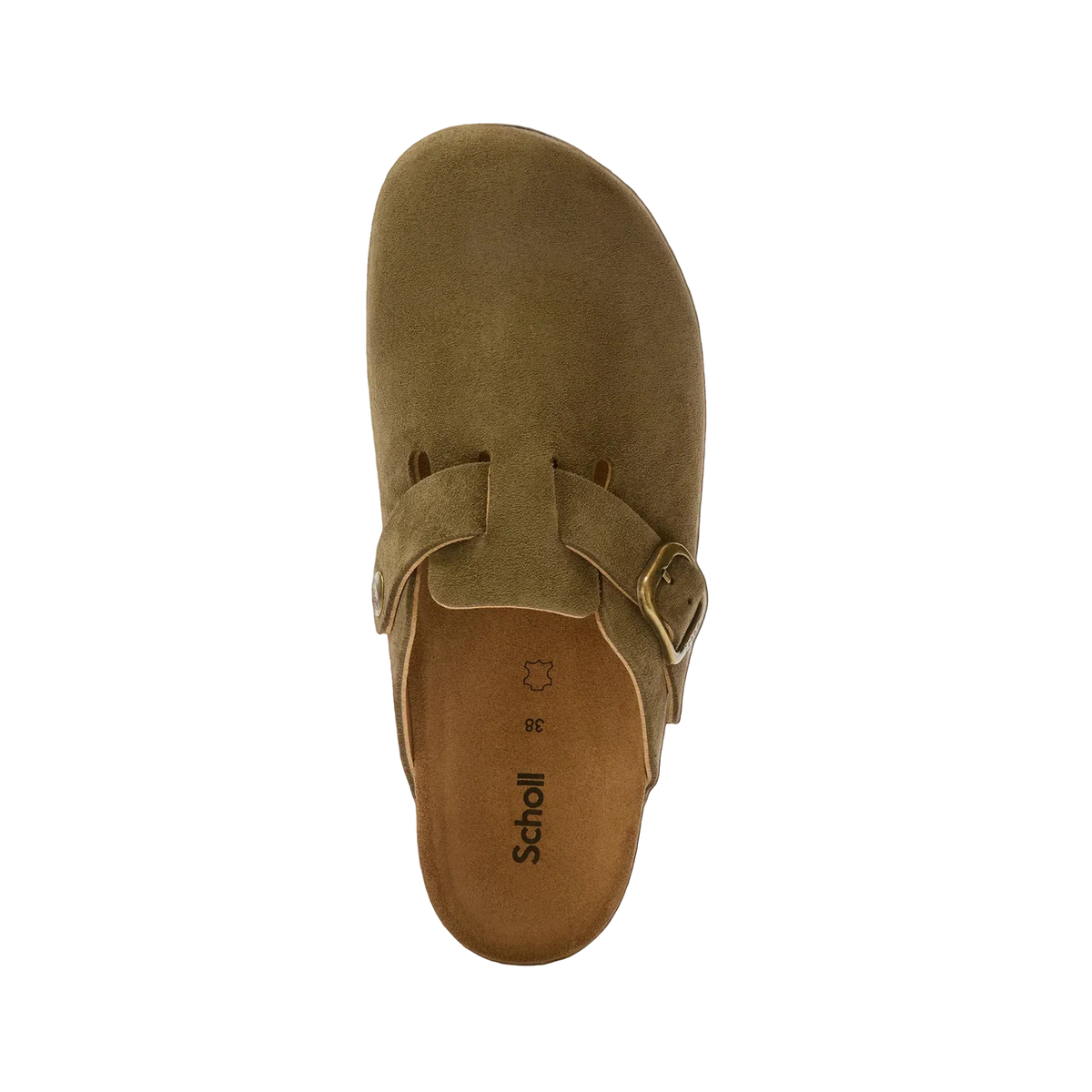 SCHOLL FAE