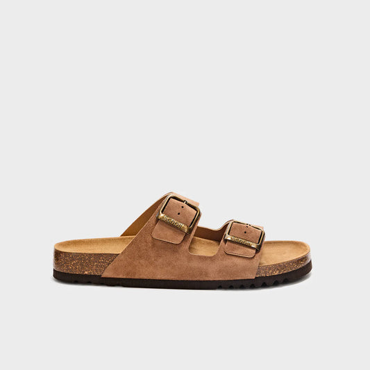 SCHOLL JULIEN