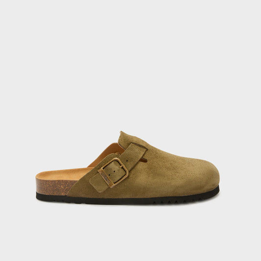 SCHOLL OLIVIER