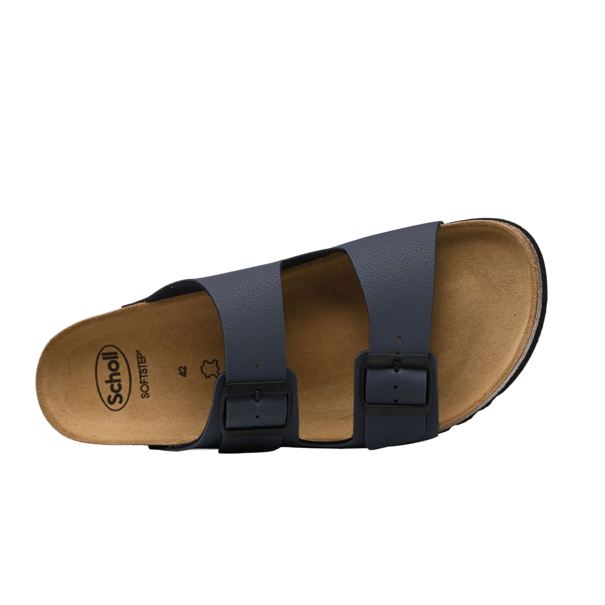 SCHOLL JULIEN