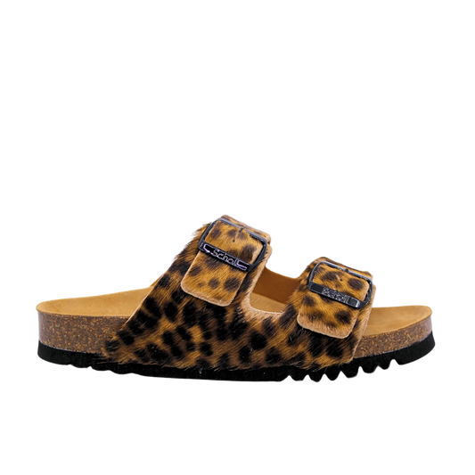 SCHOLL JOSEPHINE