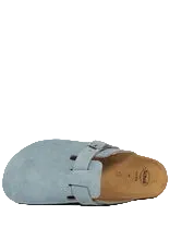 SCHOLL FAE